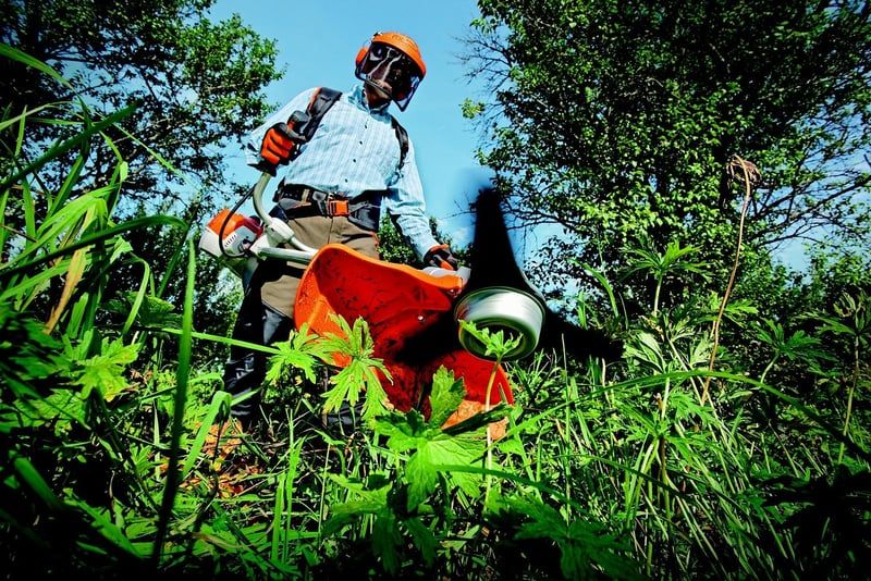 Les meilleurs conseils 2026 pour entretenir correctement vos outils de jardinage